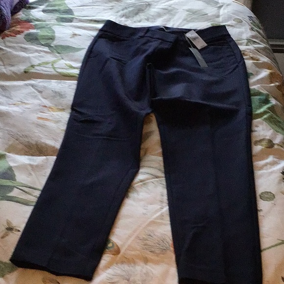 LOFT Pants - NWT Loft Julie fit skinny ankle pants